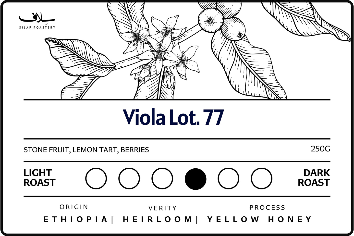 Viola Lot. 77