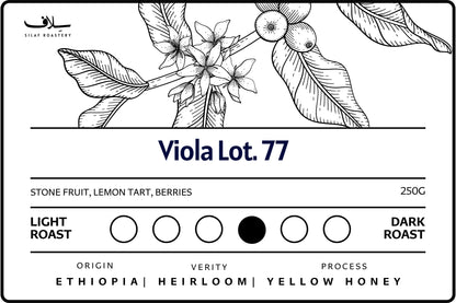 Viola Lot. 77